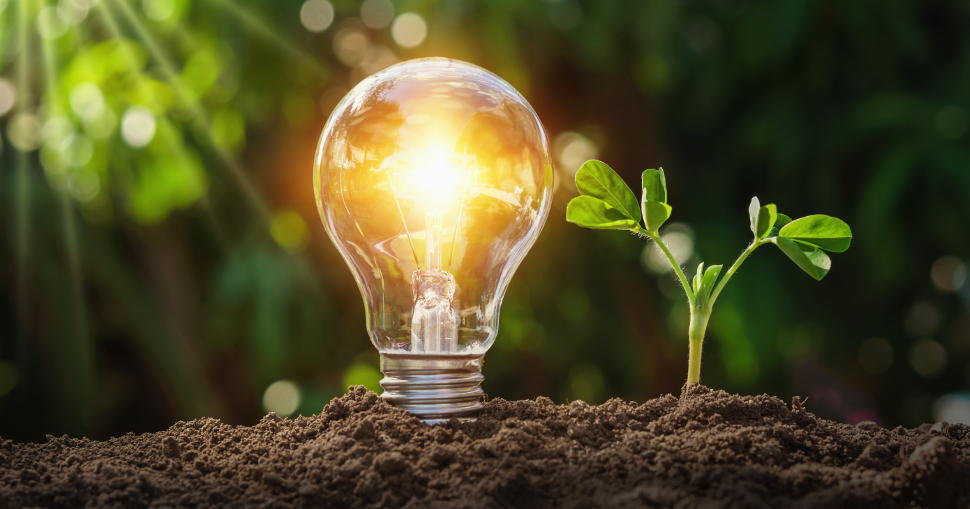 Recent research published by Ricoh Europe found that one in four business leaders believe that their organisation cannot make improvements in terms of reducing their impact on the environment. 