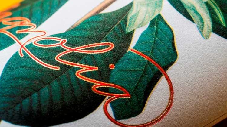 The Avery Dennison Sensorial Collection gives designers a broad toolset to create soft, textured or patterned papers that can give a premium, vintage or artisanal feel.