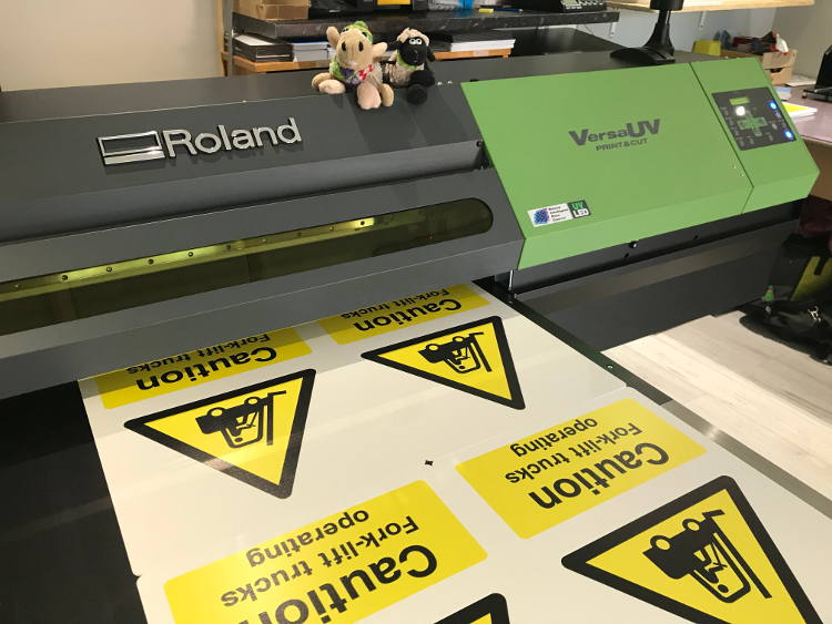 Roland Printmax