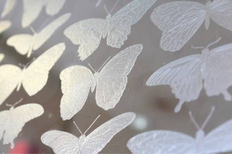 Matte finish on transparent film